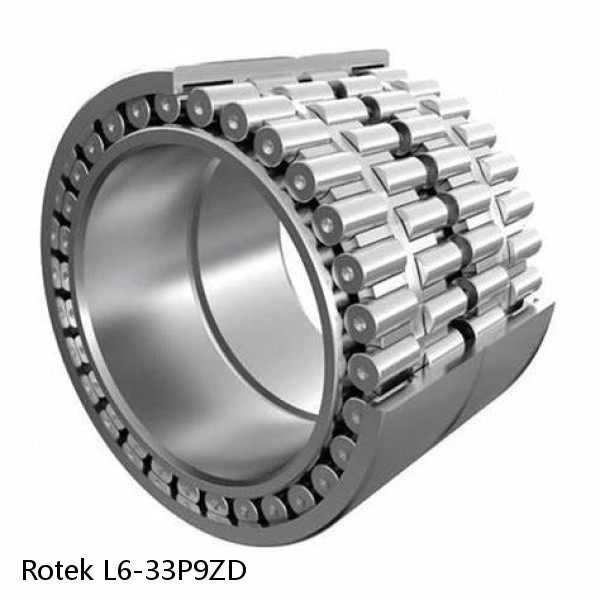 L6-33P9ZD Rotek Slewing Ring Bearings