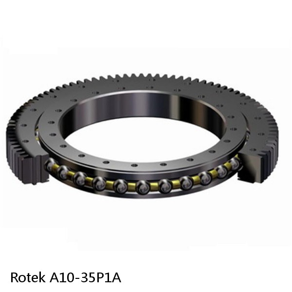 A10-35P1A Rotek Slewing Ring Bearings