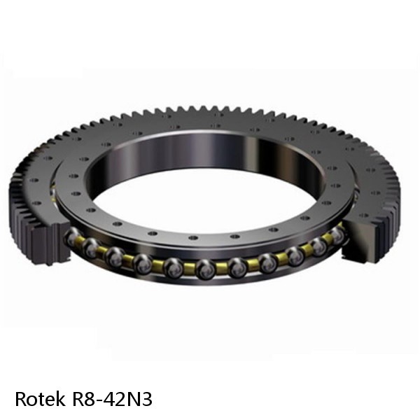 R8-42N3 Rotek Slewing Ring Bearings