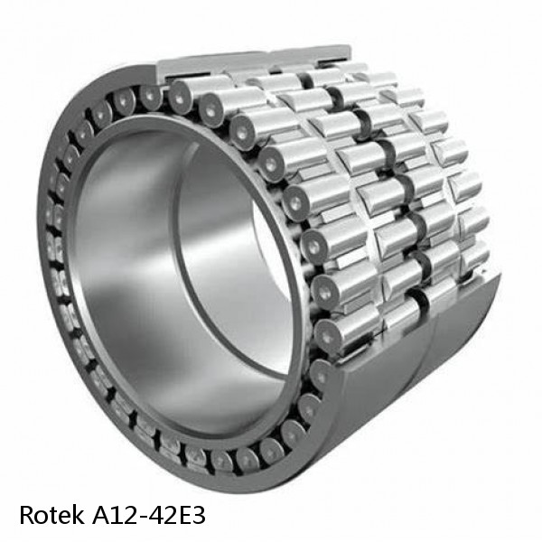 A12-42E3 Rotek Slewing Ring Bearings