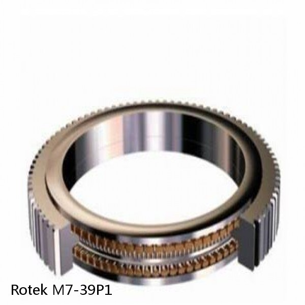 M7-39P1 Rotek Slewing Ring Bearings