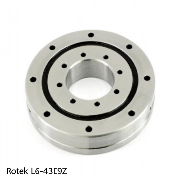 L6-43E9Z Rotek Slewing Ring Bearings