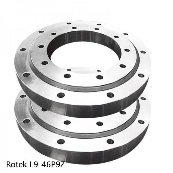 L9-46P9Z Rotek Slewing Ring Bearings