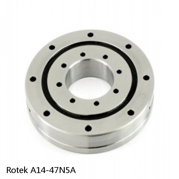 A14-47N5A Rotek Slewing Ring Bearings