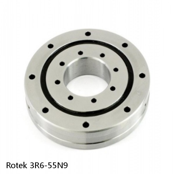 3R6-55N9 Rotek Slewing Ring Bearings