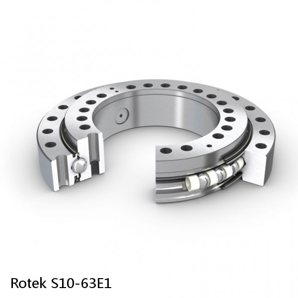 S10-63E1 Rotek Slewing Ring Bearings