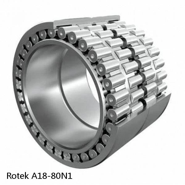 A18-80N1 Rotek Slewing Ring Bearings