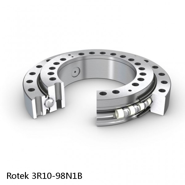 3R10-98N1B Rotek Slewing Ring Bearings