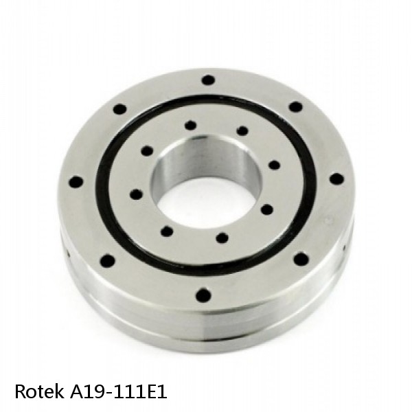 A19-111E1 Rotek Slewing Ring Bearings