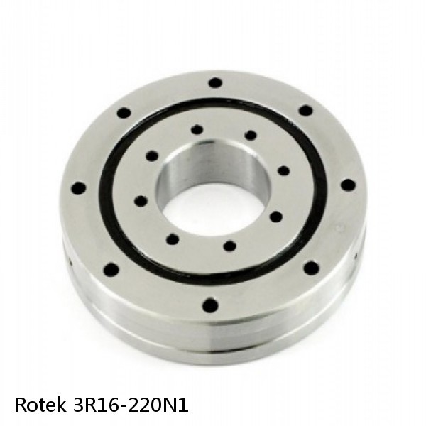 3R16-220N1 Rotek Slewing Ring Bearings