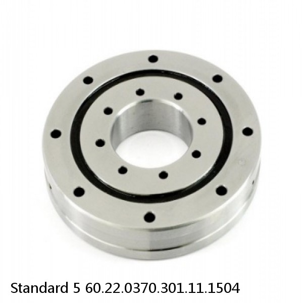 60.22.0370.301.11.1504 Standard 5 Slewing Ring Bearings