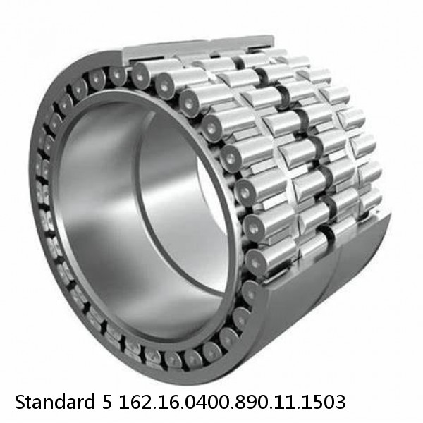 162.16.0400.890.11.1503 Standard 5 Slewing Ring Bearings