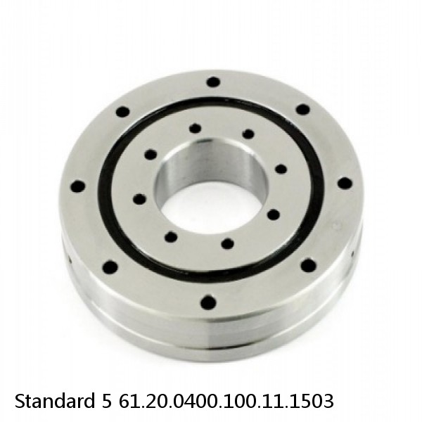 61.20.0400.100.11.1503 Standard 5 Slewing Ring Bearings