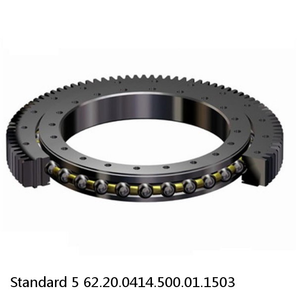 62.20.0414.500.01.1503 Standard 5 Slewing Ring Bearings