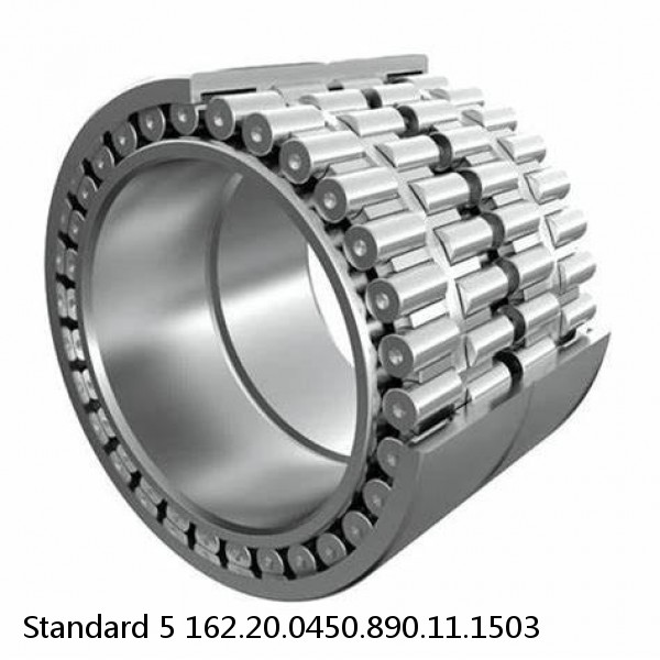 162.20.0450.890.11.1503 Standard 5 Slewing Ring Bearings