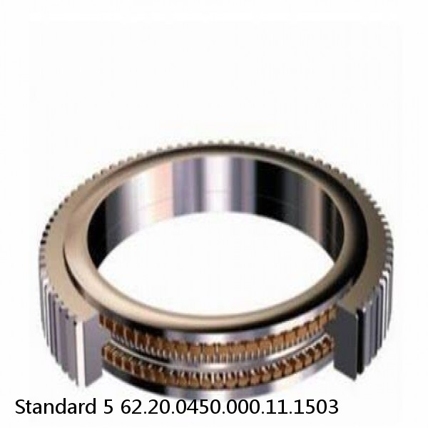 62.20.0450.000.11.1503 Standard 5 Slewing Ring Bearings