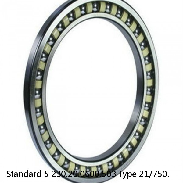 230.20.0600.503 Type 21/750. Standard 5 Slewing Ring Bearings