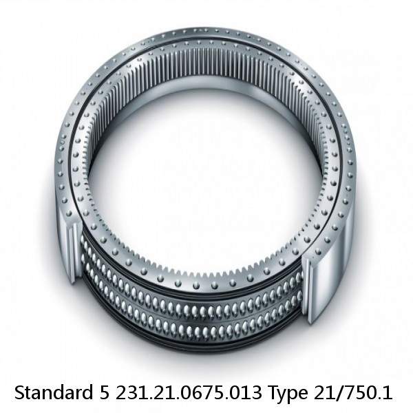 231.21.0675.013 Type 21/750.1 Standard 5 Slewing Ring Bearings