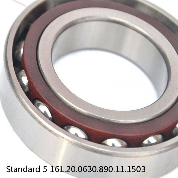 161.20.0630.890.11.1503 Standard 5 Slewing Ring Bearings