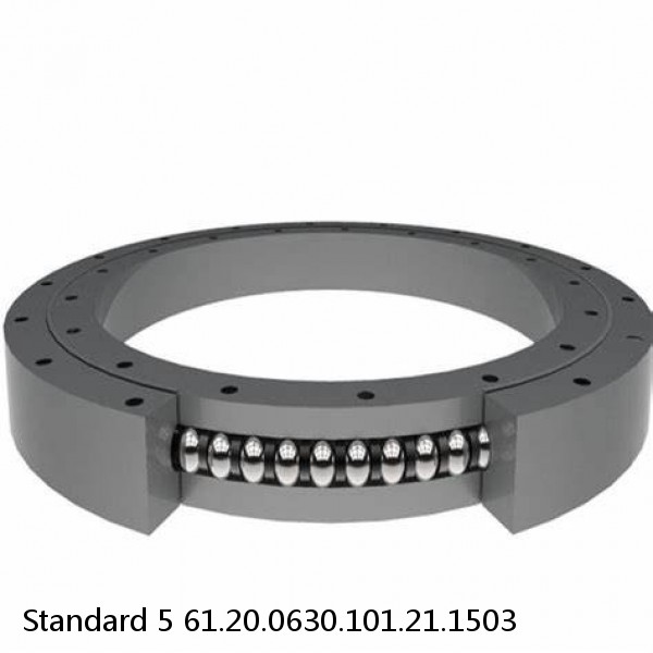 61.20.0630.101.21.1503 Standard 5 Slewing Ring Bearings