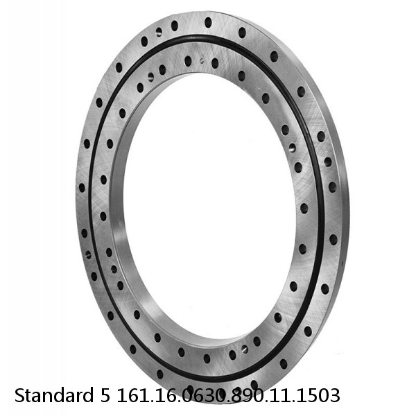 161.16.0630.890.11.1503 Standard 5 Slewing Ring Bearings