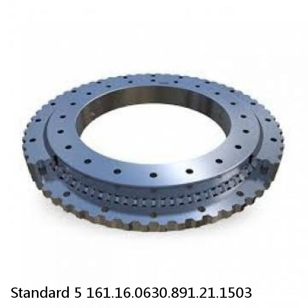 161.16.0630.891.21.1503 Standard 5 Slewing Ring Bearings