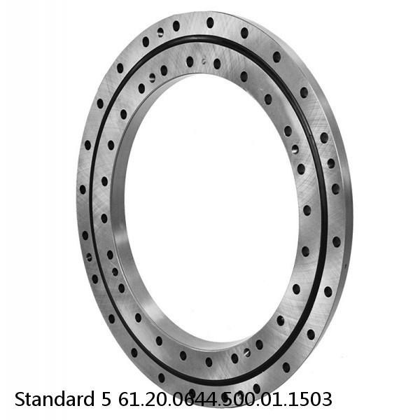 61.20.0644.500.01.1503 Standard 5 Slewing Ring Bearings