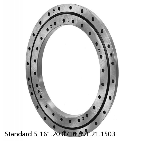 161.20.0710.891.21.1503 Standard 5 Slewing Ring Bearings