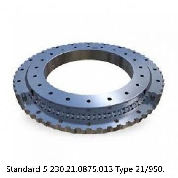 230.21.0875.013 Type 21/950. Standard 5 Slewing Ring Bearings