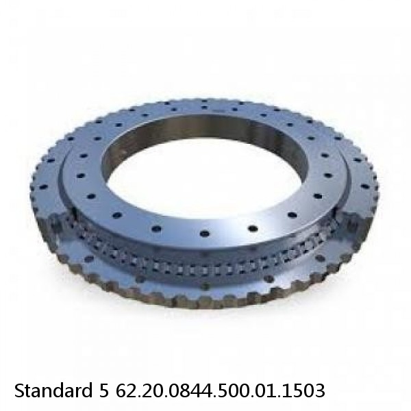 62.20.0844.500.01.1503 Standard 5 Slewing Ring Bearings