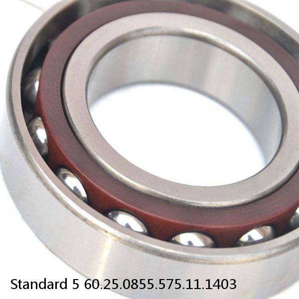 60.25.0855.575.11.1403 Standard 5 Slewing Ring Bearings