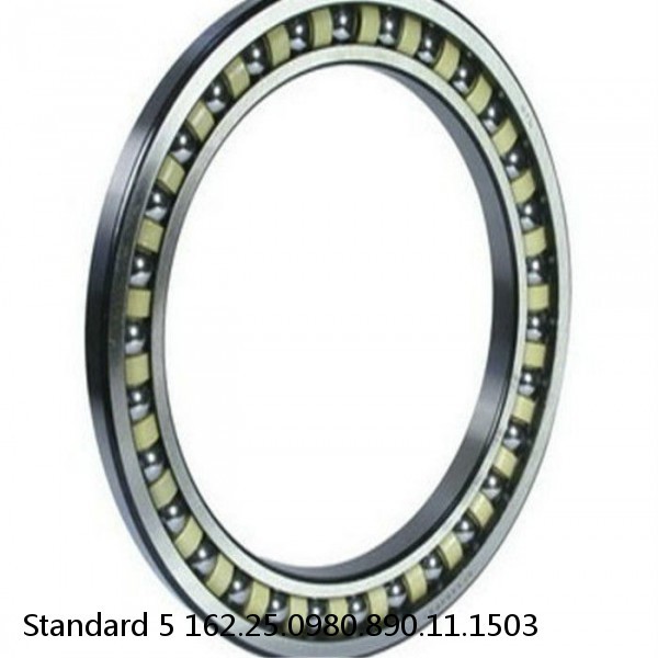 162.25.0980.890.11.1503 Standard 5 Slewing Ring Bearings