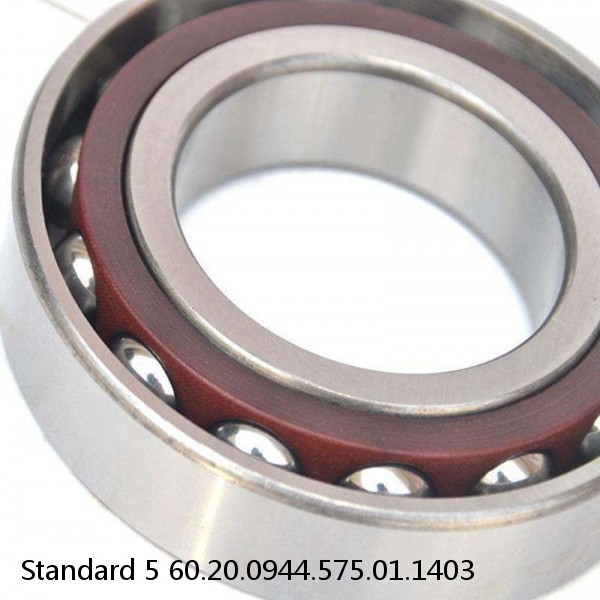 60.20.0944.575.01.1403 Standard 5 Slewing Ring Bearings