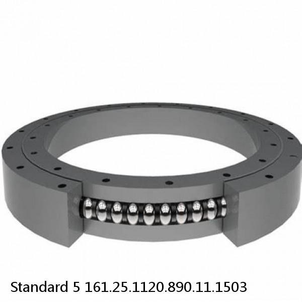 161.25.1120.890.11.1503 Standard 5 Slewing Ring Bearings