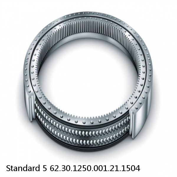 62.30.1250.001.21.1504 Standard 5 Slewing Ring Bearings