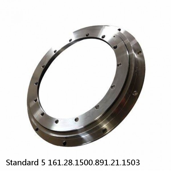 161.28.1500.891.21.1503 Standard 5 Slewing Ring Bearings