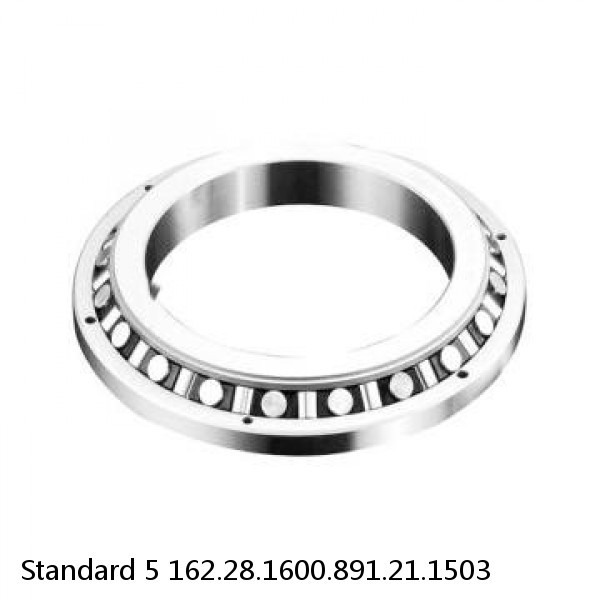 162.28.1600.891.21.1503 Standard 5 Slewing Ring Bearings