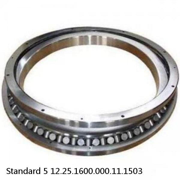 12.25.1600.000.11.1503 Standard 5 Slewing Ring Bearings