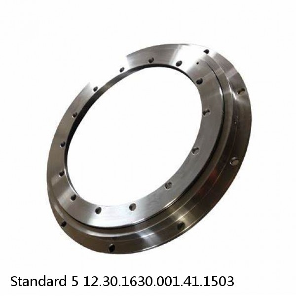 12.30.1630.001.41.1503 Standard 5 Slewing Ring Bearings