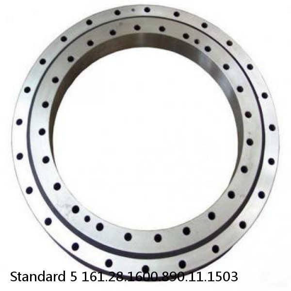 161.28.1600.890.11.1503 Standard 5 Slewing Ring Bearings