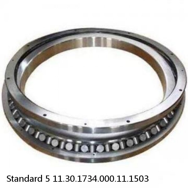 11.30.1734.000.11.1503 Standard 5 Slewing Ring Bearings