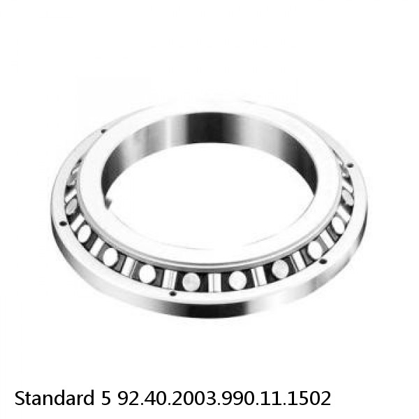 92.40.2003.990.11.1502 Standard 5 Slewing Ring Bearings