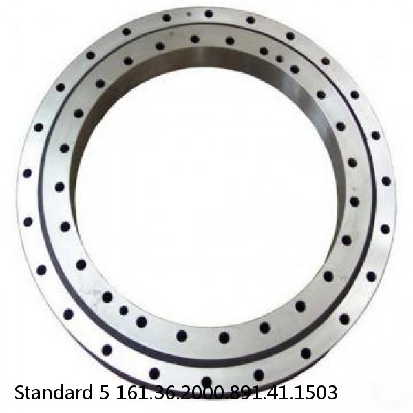 161.36.2000.891.41.1503 Standard 5 Slewing Ring Bearings