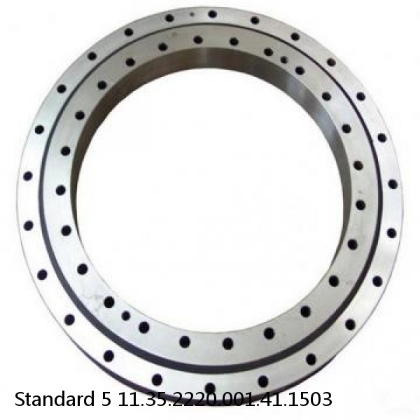 11.35.2220.001.41.1503 Standard 5 Slewing Ring Bearings