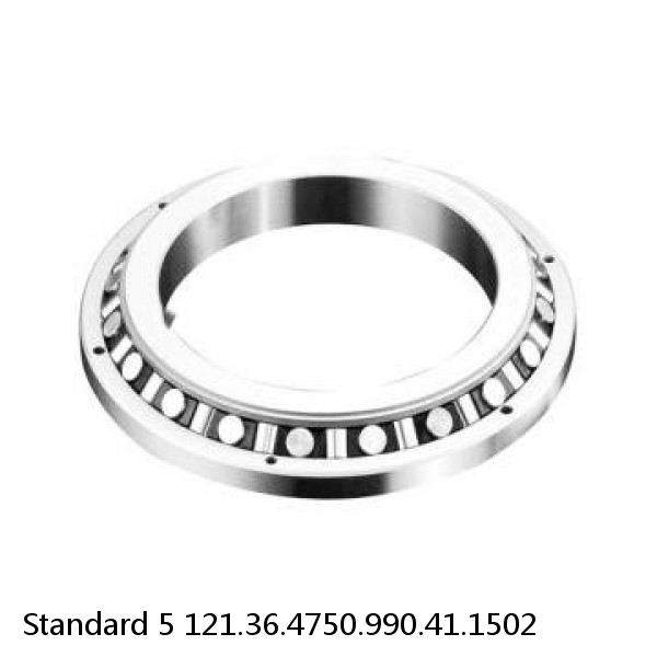 121.36.4750.990.41.1502 Standard 5 Slewing Ring Bearings