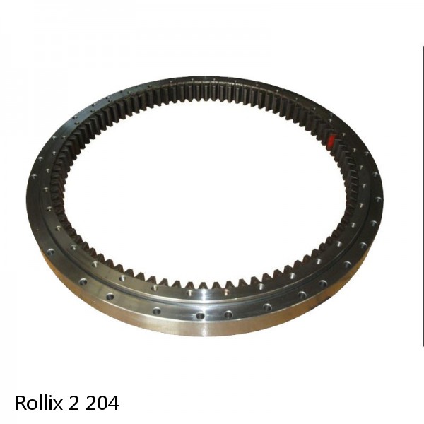 2 204 Rollix Slewing Ring Bearings