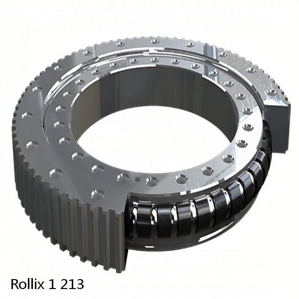 1 213 Rollix Slewing Ring Bearings