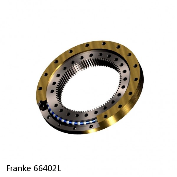 66402L Franke Slewing Ring Bearings