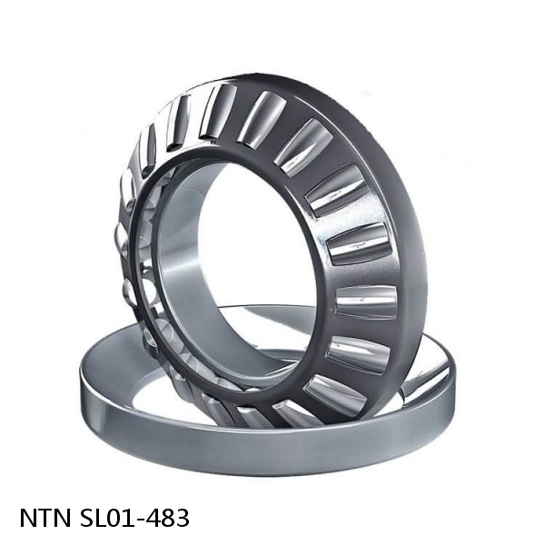 SL01-483 NTN Cylindrical Roller Bearing