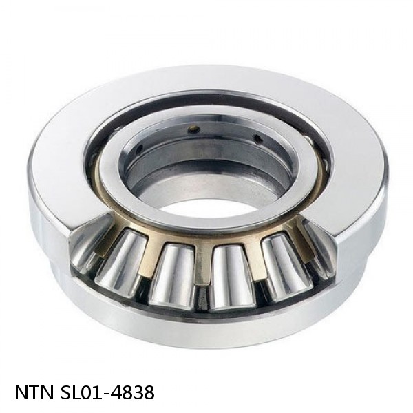 SL01-4838 NTN Cylindrical Roller Bearing